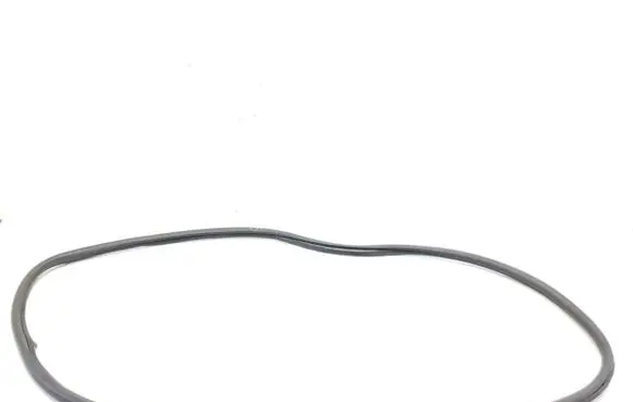 Opel Grandland X Rubber seal front door (on door) 9811537480