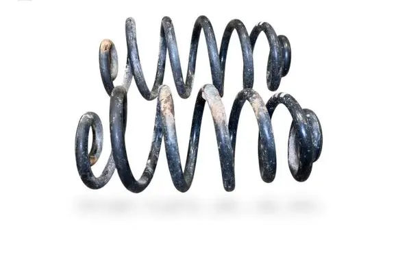 Rear coil spring
