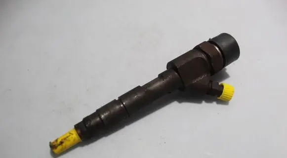 Renault Scenic II - Grand scenic II Fuel injector 0445110110