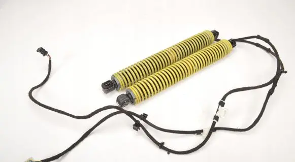 Rolls-Royce Wraith Tailgate hydraulic set 7301524 7301523