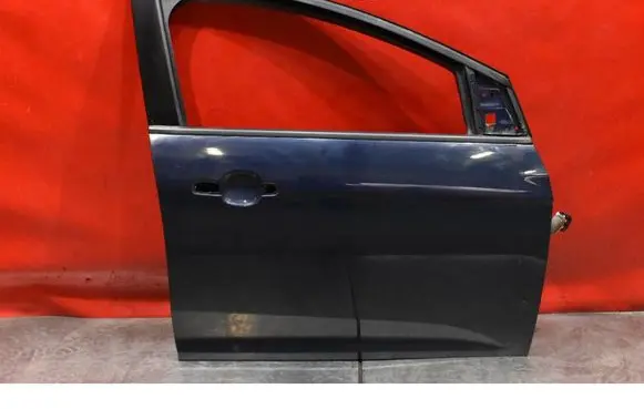 Ford Focus Front door
