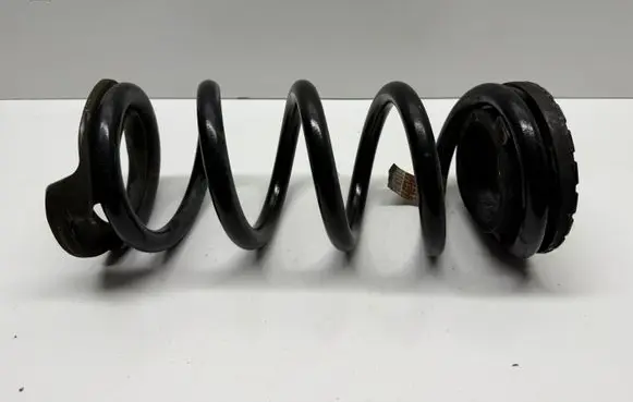 Ford Mustang VI Rear coil spring JR3C5560JB Q48PA Q48RA