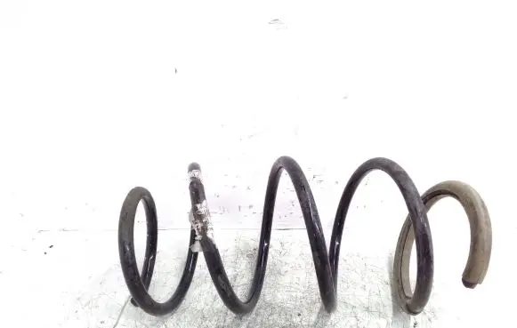 Renault Megane III Front coil spring 540100026R
