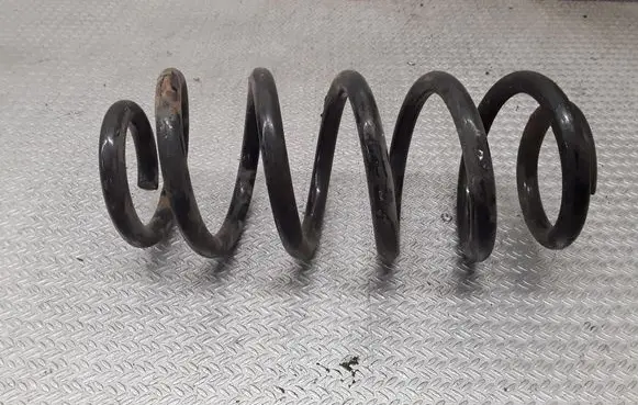 Front coil spring