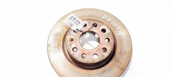 Volkswagen Golf V Front brake disc ventiliuojamas