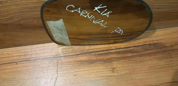 KIA Carnival Front door electric wing mirror