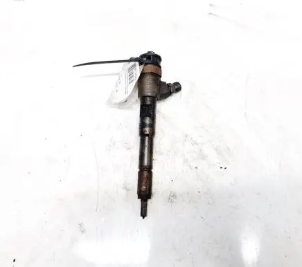 Renault Kangoo II Fuel injector 0445110485 H8201108033