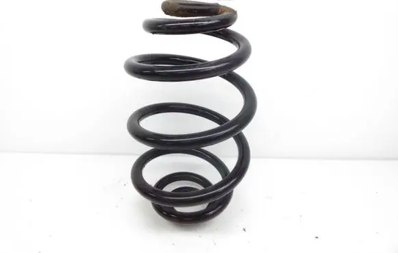 Volkswagen PASSAT B5.5 Rear coil spring