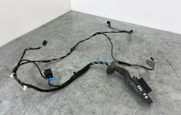 BMW 1 E82 E88 Front door wiring loom 6925548
