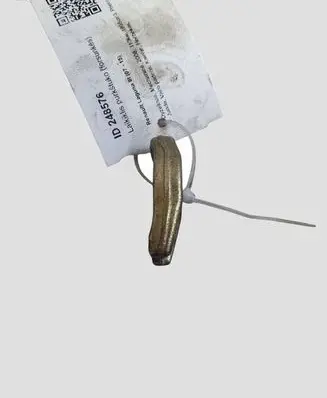 Renault Laguna III Fuel Injector clamp holder