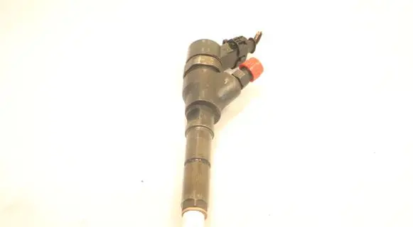 Citroen Berlingo Fuel injector 0445110062