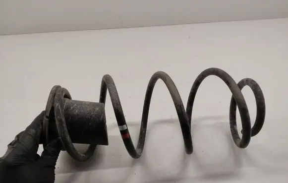 Renault Kangoo II Rear coil spring 