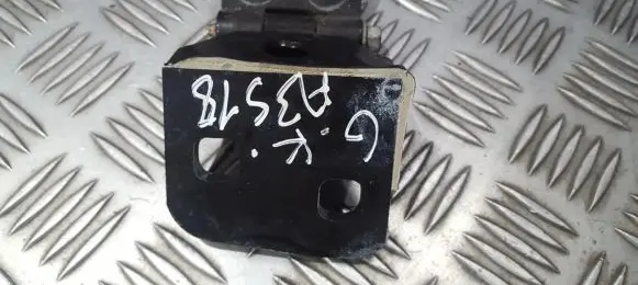 BMW X3 E83 Rear door lower hinge