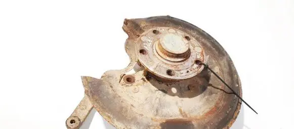 Volkswagen Golf Plus Rear wheel hub