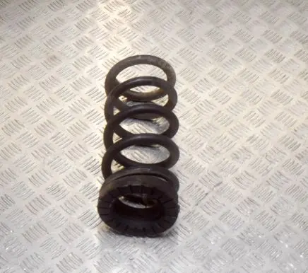 Ford Mustang VI Rear coil spring JR3C5B859UB