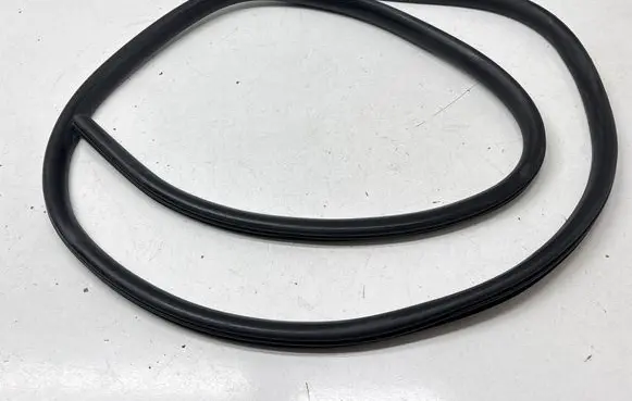 Ford Escape IV Rear door rubber seal (on body) LJ6BS253A10
