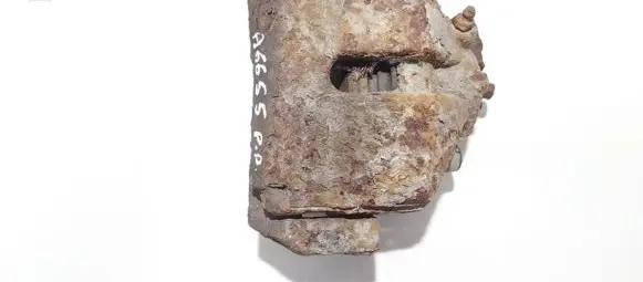 Skoda Octavia Mk2 (1Z) Front brake caliper