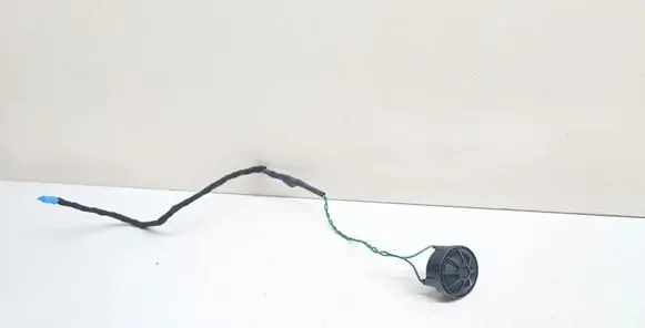 Front door high frequency speaker