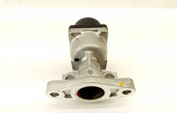 Renault Captur II EGR valve