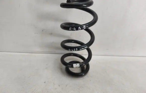 Rear coil spring