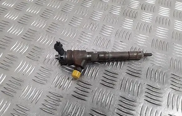 Renault Kangoo II Fuel injector 0445110485 H8201108033