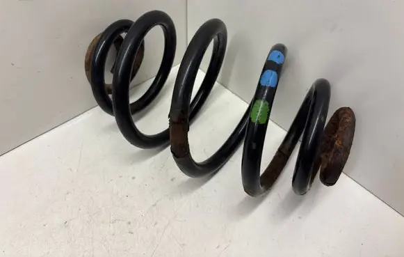 Rear coil spring