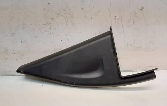 Other rear door trim element