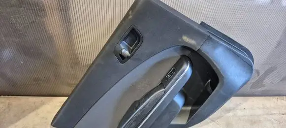 Dodge Charger Rear door card panel trim