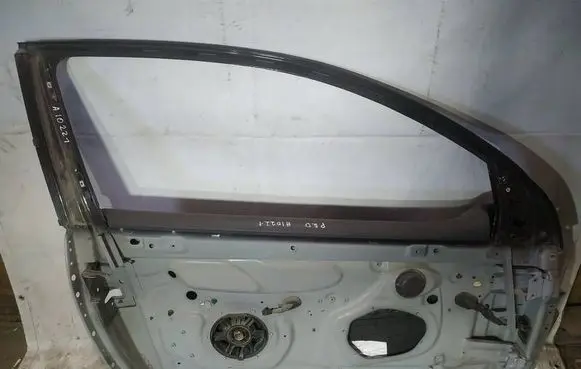 Volkswagen Golf V Front door