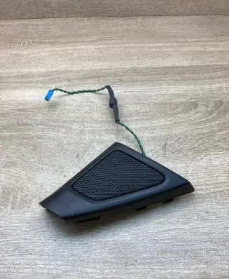 Front door high frequency speaker