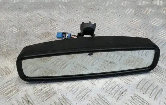 Ford Focus Rear view mirror (interior) 