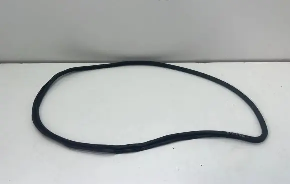 BMW 7 F01 F02 F03 F04 Front door rubber seal 7177999