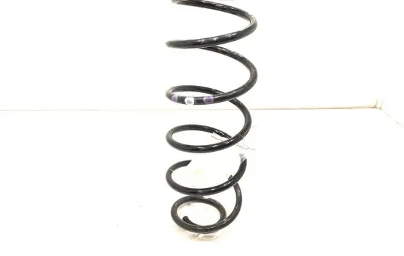 Rear coil spring