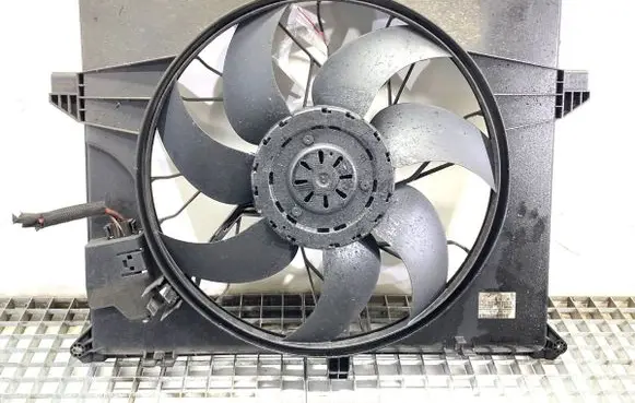 Mercedes-Benz R W251 Fan set A1645000493