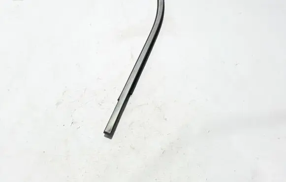 Renault Alaskan Rear door trim (molding) 828214JG1A
