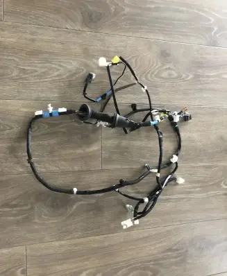 Front door wiring loom