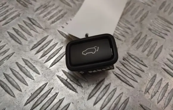 KIA Sportage Tailgate/trunk/boot open switch 49X59P1300
