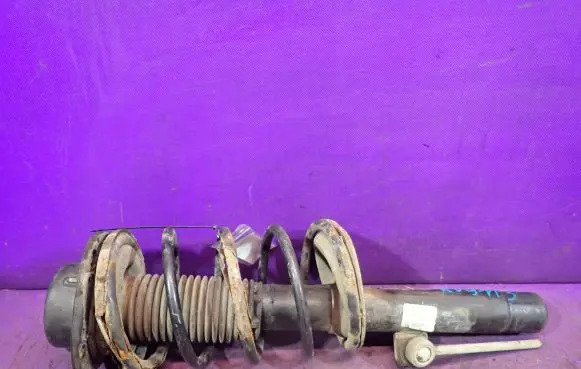 Peugeot 206 CC Front shock absorber with coil spring