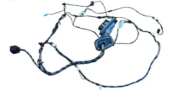 BMW X3 F25 Front door wiring loom 9252383 9243655 61139169241