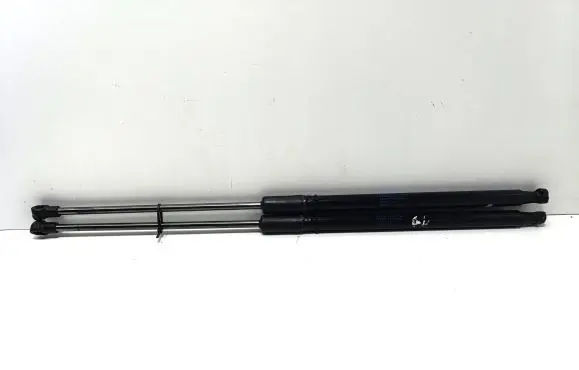 Citroen C4 Cactus Tailgate/trunk strut/damper 9813913880