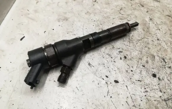 Peugeot 406 Fuel injector 04451100769641742880