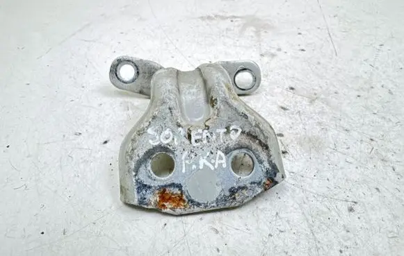 KIA Sorento Front door lower hinge 