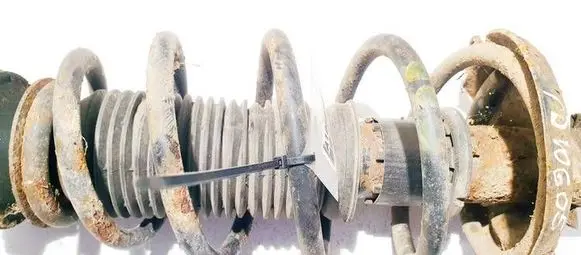 Front coil spring