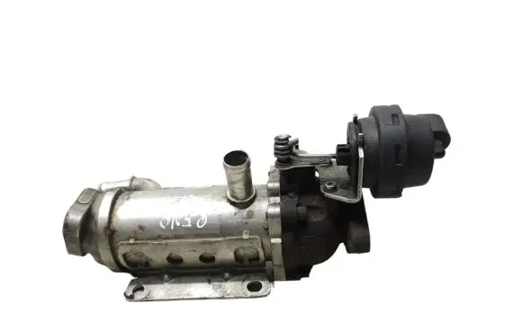 Renault Trafic II (X83) EGR valve cooler H8200340616 876481V 880255X