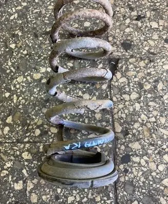 Rear coil spring