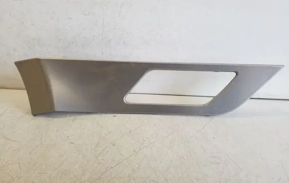 Other front door trim element