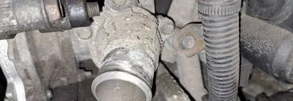 Engine coolant pipe/hose