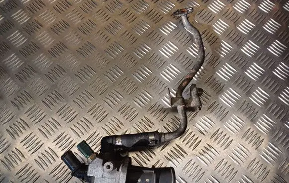 Thermostat/thermostat housing