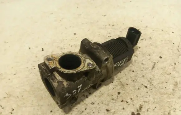 Opel Vectra C EGR valve 50024005