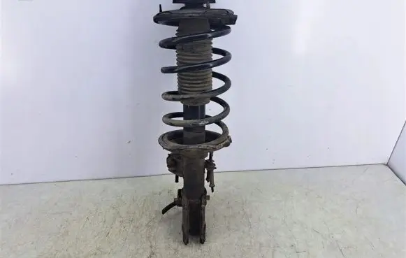 Hyundai Getz Front shock absorber with coil spring